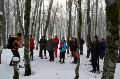 Les Vosges guided snowshoeing day tours