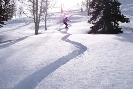 Freeride snowboarding in Niigata and Gunma, Japan