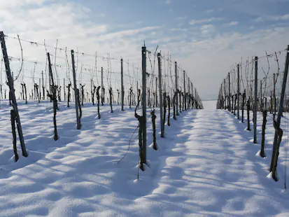 Hudson Valley Winter Hiking and Wine Tasting Day