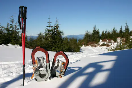 Red Hill Fire Tower Snowshoeing Tour for Beginners