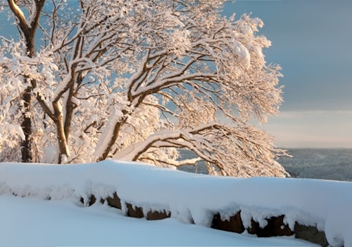 Hudson Valley, New York State, Guided Snowshoeing