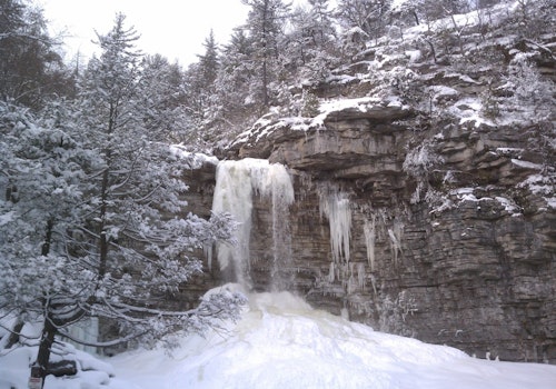 Upstate New York, Half-Day Guided Snowshoeing