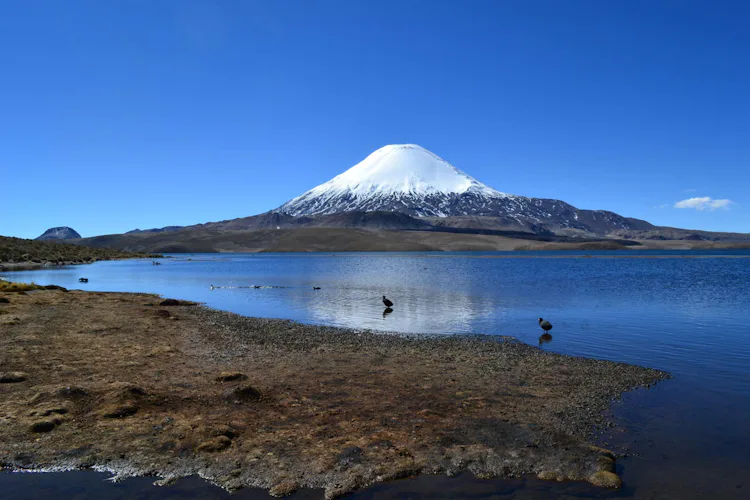 1-day ascent to Lascar Volcano in northern Chile