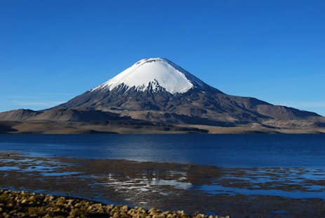 1-day ascent to Lascar Volcano in northern Chile