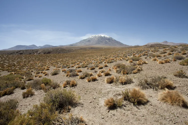 1-day ascent to Lascar Volcano in northern Chile 1