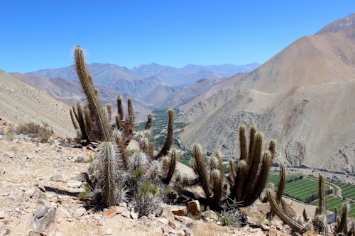 Guatin hike by normal route in Atacama, Chile