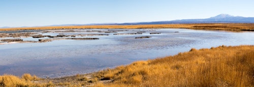 Lake Cejar biking day in San Pedro de Atacama