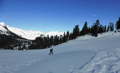 Heliboarding or snowshoeing day tour in Val d’Aran