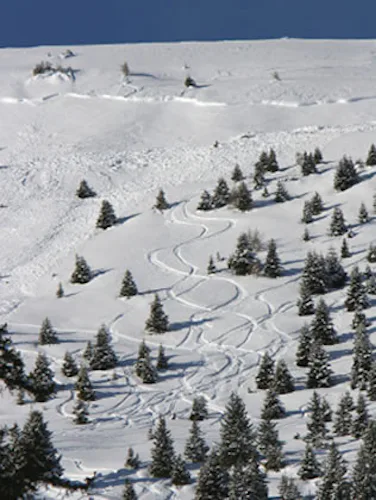 Wasatch ski tour course