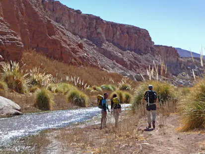 1-day hiking tour in the Atacama Desert, Chile