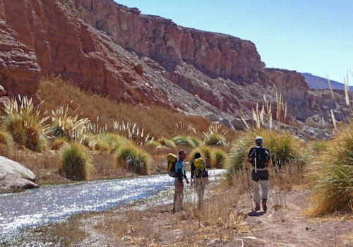 1-day hiking tour in the Atacama Desert, Chile