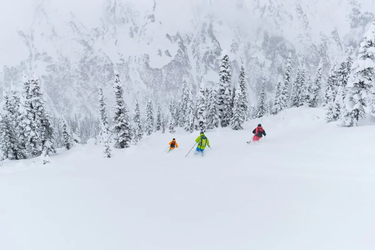 Private Heliskiing tour in British Columbia