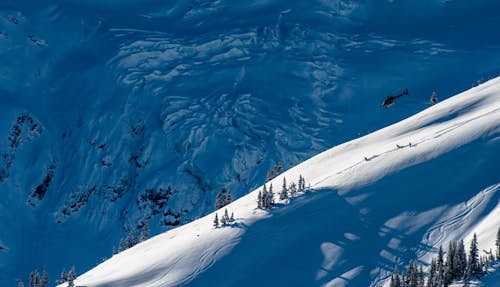Private Heliboarding 5-day trip in British Columbia