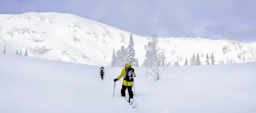 9-day ski touring trip in Mamay Valley, Siberia