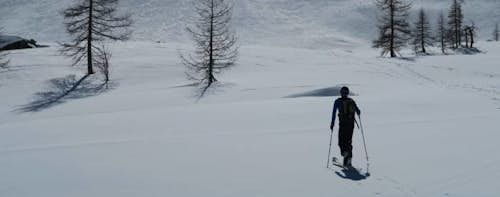 1-day intro to ski touring from Courmayeur