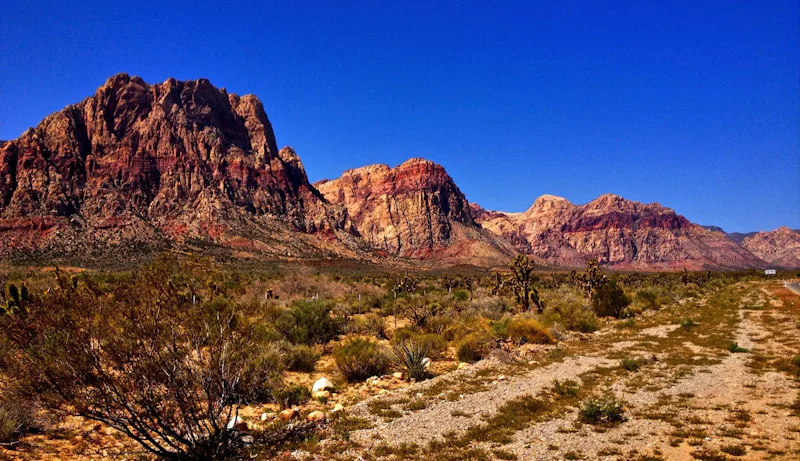 1-day multi-pitch climbing in Red Rock, Nevada