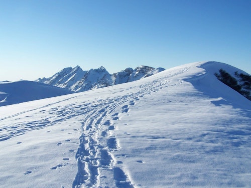 4-day snowshoeing trip in Chamonix