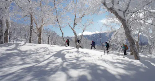 Snowshoe tour in Asaridake Area (Mt. Asari)