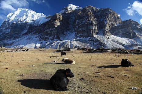 Kanchenjunga Trek, 27-day program