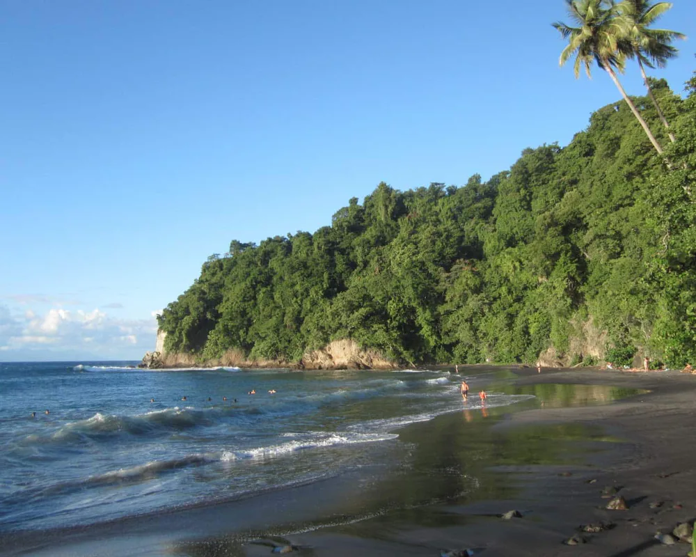 Martinique Rainforest, Beach, Waterfalls Guided Hike | France