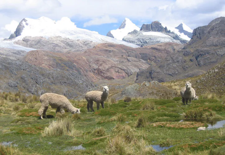 Cordillera Huayhuash trek