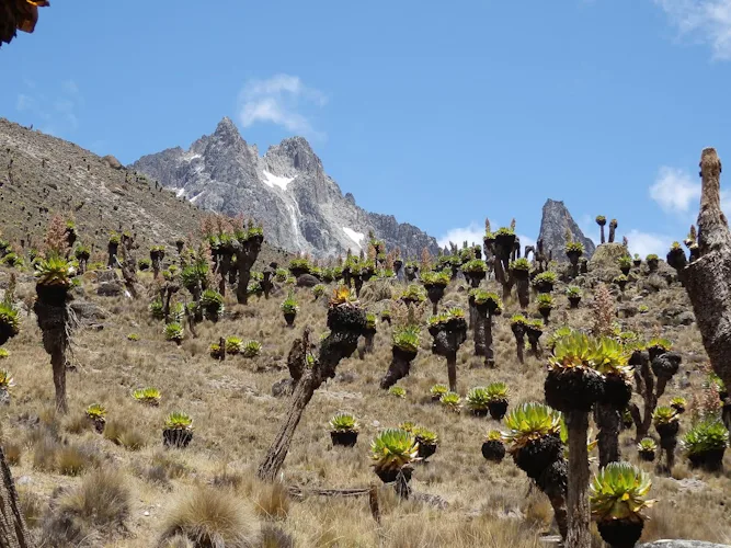 Mount Kenya, 9 Day Guided Ascent