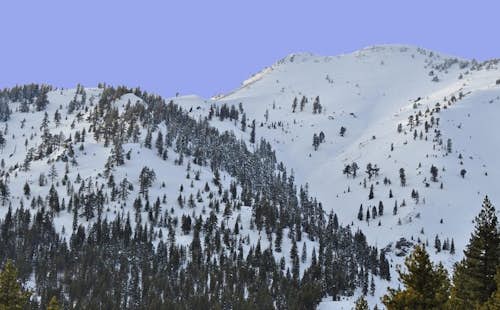 7-day backcountry skiing tour on the Sierra Nevada High Route