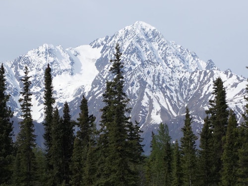 Mount Bona, Alaska, 12 Day Guided Ascent
