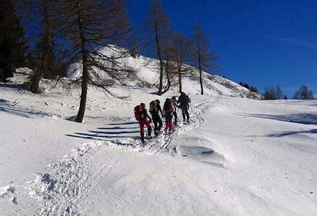 1-day snowshoeing tour in the Carnic Alps