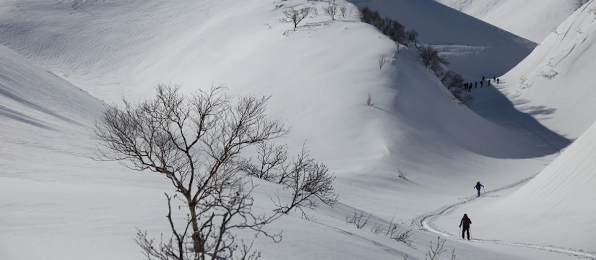 4-day backcountry ski Rishiri