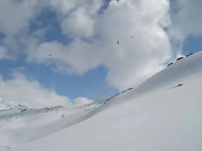 Snowshoeing week for beginners in the Lyngen Alps, Norway 3