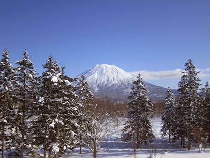 Niseko + Mt. Yotei, 2 Day Guided Sidecountry Skiing