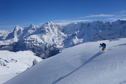 4-day powder skiing tour in the Bernese Oberland