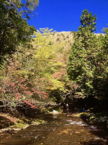 3-day Kumano Kodo and river trek, Japan