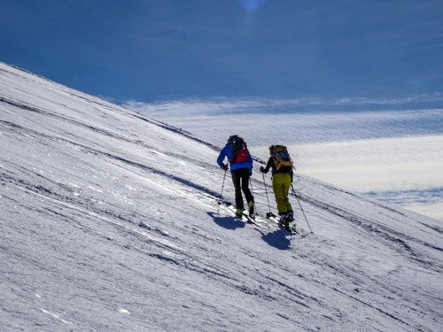 Ski touring basic course in Aurina Valley, Italy