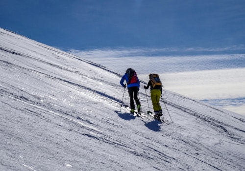 Ski touring basic course in Aurina Valley, Italy