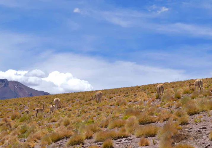 10-day Atacama trek and climb to Licancabur