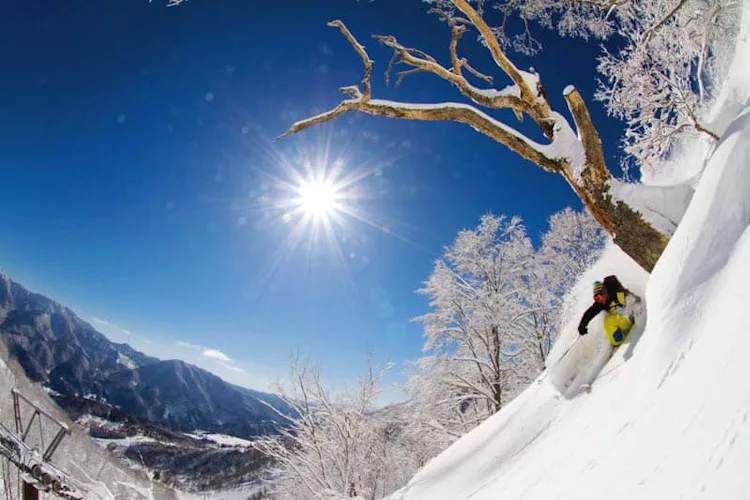 Backcountry skiing private tour in Japan