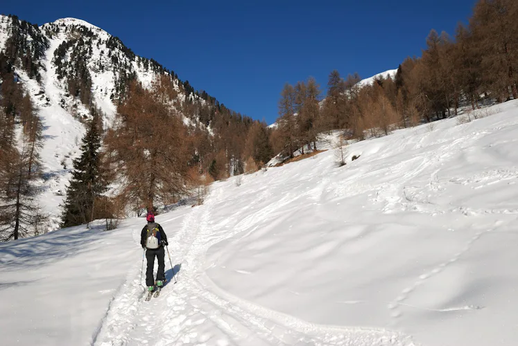 Haute Route Grischa ski touring week - Switzerland