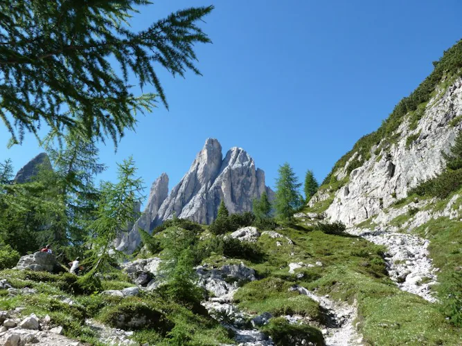 Sexten Dolomites guided day hikes