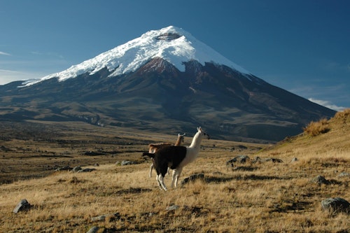 Two-day mountaineering tour to Cotopaxi Volcano