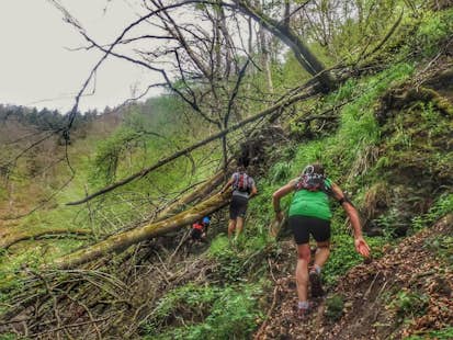 Engreux, Wallonia, Guided Trail Running Weekend
