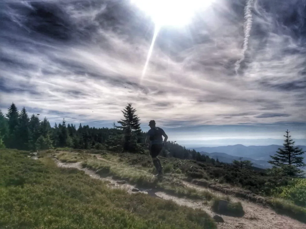 Les Vosges mountains, Guided Trail Running | France