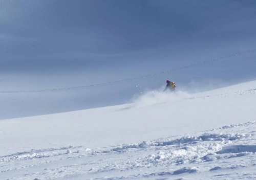 Graukogel guided freeride ski day tours