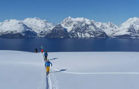 Expérience de ski de randonnée en Laponie : le meilleur de la Norvège du Nord