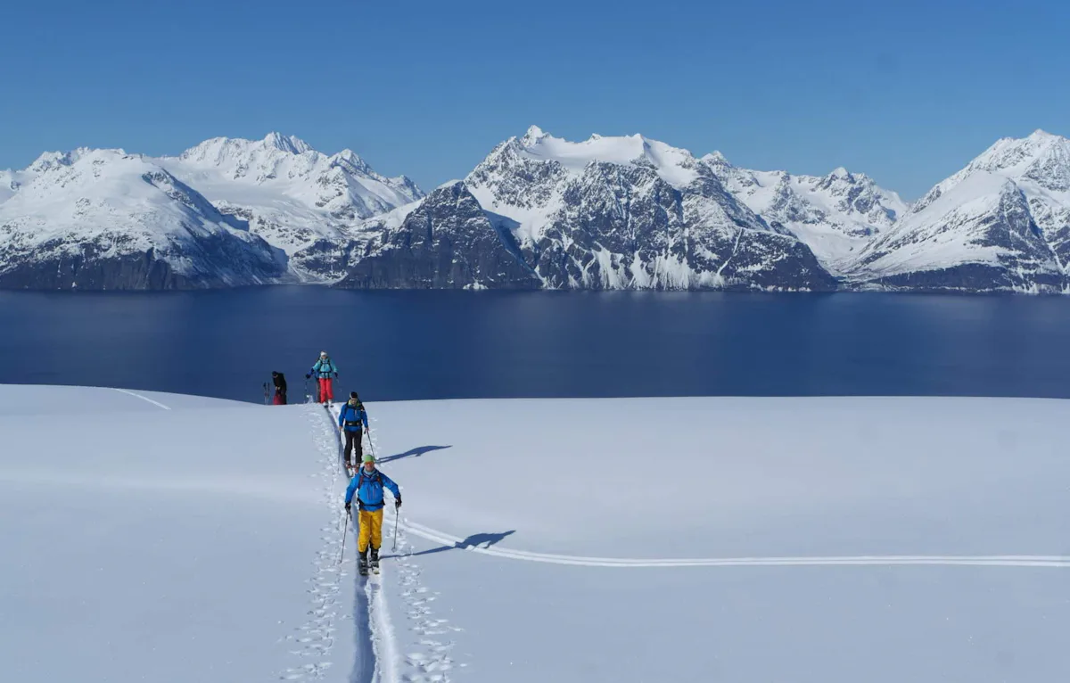 Experiencia de esquí de travesía en Laponia: lo mejor del norte de Noruega | undefined