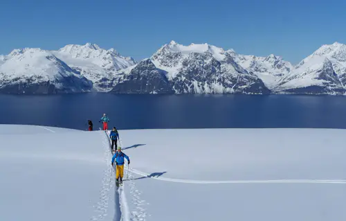 Experiencia de esquí de travesía en Laponia: lo mejor del norte de Noruega