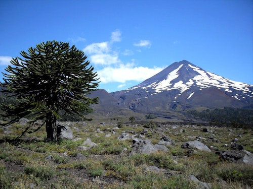 Guided ascent to Llaima Volcano in 4 days