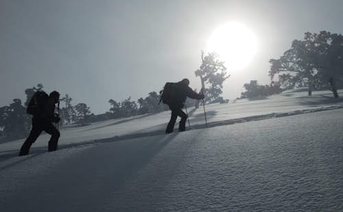 7-day backcountry skiing tour in Hokkaido