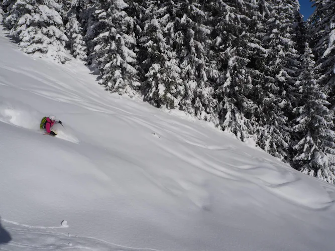 Kitzbuhel Alps Guided Freeride Skiing With Snowcat